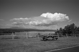 img439.jpg