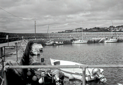 Minox1424Processed_c.jpg