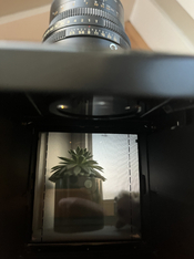 rs_IMG_8804.HEIC.jpg