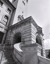 rs_22.08.06.RB67.50mm.Delta100.ISO100.XTOL.Plustek.Worcestor_Blue_Berry_Fail_01.jpg
