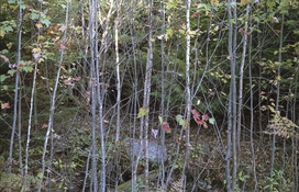 img056.jpg