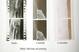 TDLC-102 vs time.jpg