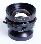 ApoS_210-02.jpg