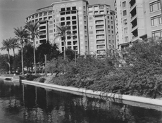 Foma 400 at 400 Diafine .jpg