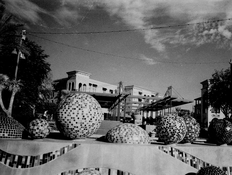 ArtistaPan 100 Acufine  .jpg
