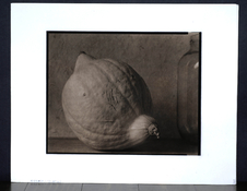 Untitled Squash2.jpg