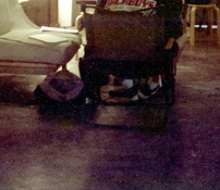 IMG_0001_aa.jpg