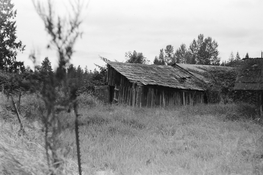 IMG_1065.jpeg