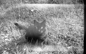 img022.jpg img022.jpg