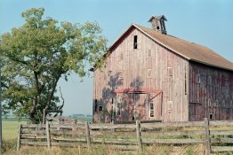 Roll12689-L.jpg