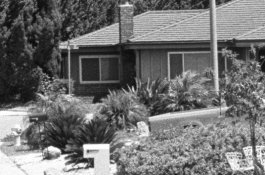 acros-xtol-crop24.jpg