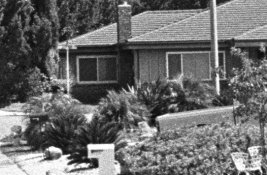trix-xtol-crop22.jpg