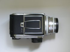 IMG_3761.jpg