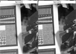 RD-117.2.3.jpg