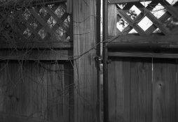 Tri-X-320-48-bit-color012_garden-gate.jpg