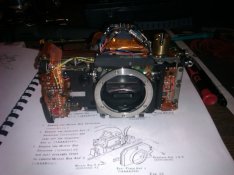IMAG0106.jpg