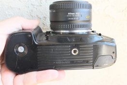 IMG_4750 (Large).JPG