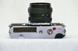 img237.jpg