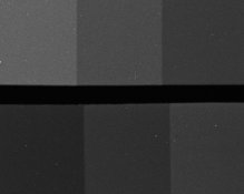 bars-xtol90Lo.jpg