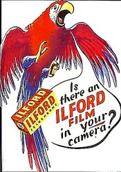 ilford.jpg
