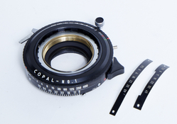 Copal1-01.jpg
