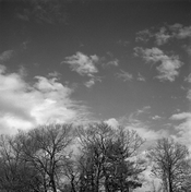 img320.jpg
