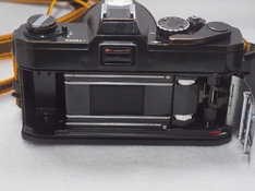 CBA90012.jpg