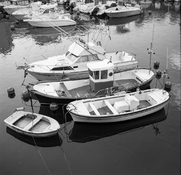 img8941.jpg