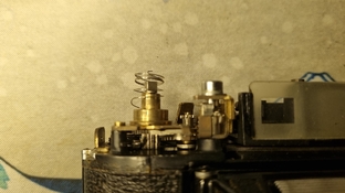 20241015_231022.jpg