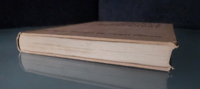 20241018_002553.jpg