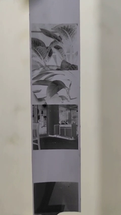 vlcsnap_2024-10-19-19h55m10s572.png
