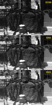 Test 2 Scan - SM.jpg