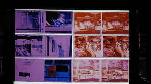 phoenix-negatives1_small.png