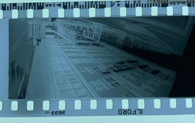 IMG_9737.jpeg