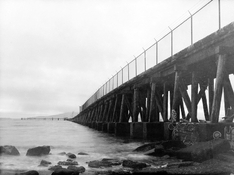51910801568_c2d2562238_c.jpg