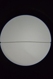 20241123_030319.jpg