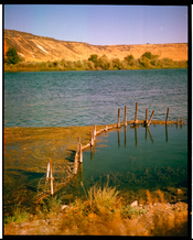 IMG_0709.jpeg