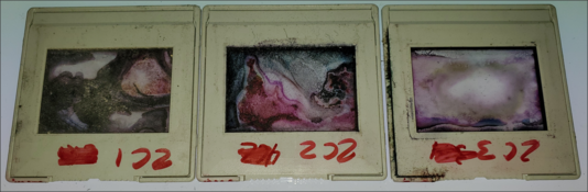 Snap-2024-12-04-23-03-14.png
