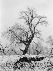 00005441_TomStermitz_TriX400_120-1407.jpg