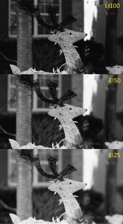 Image 1 SM.jpg