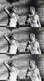 Image 3 SM.jpg