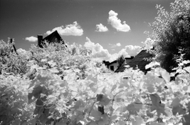 Infrared+2.jpg