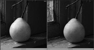 Tri-X.tests02.jpg