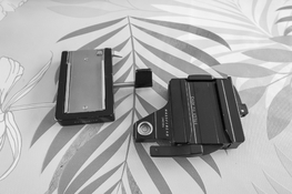 L1000184.jpg