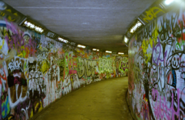 Yashica T5 2.png