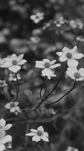 IMG_1750.png