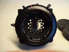 DSC01626 (Medium).JPG