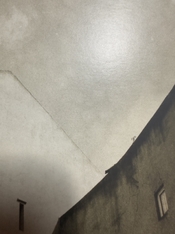 IMG_1174.jpeg