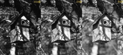 Scan 2 - SM.jpg