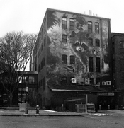 Here's lookin' at you.jpg